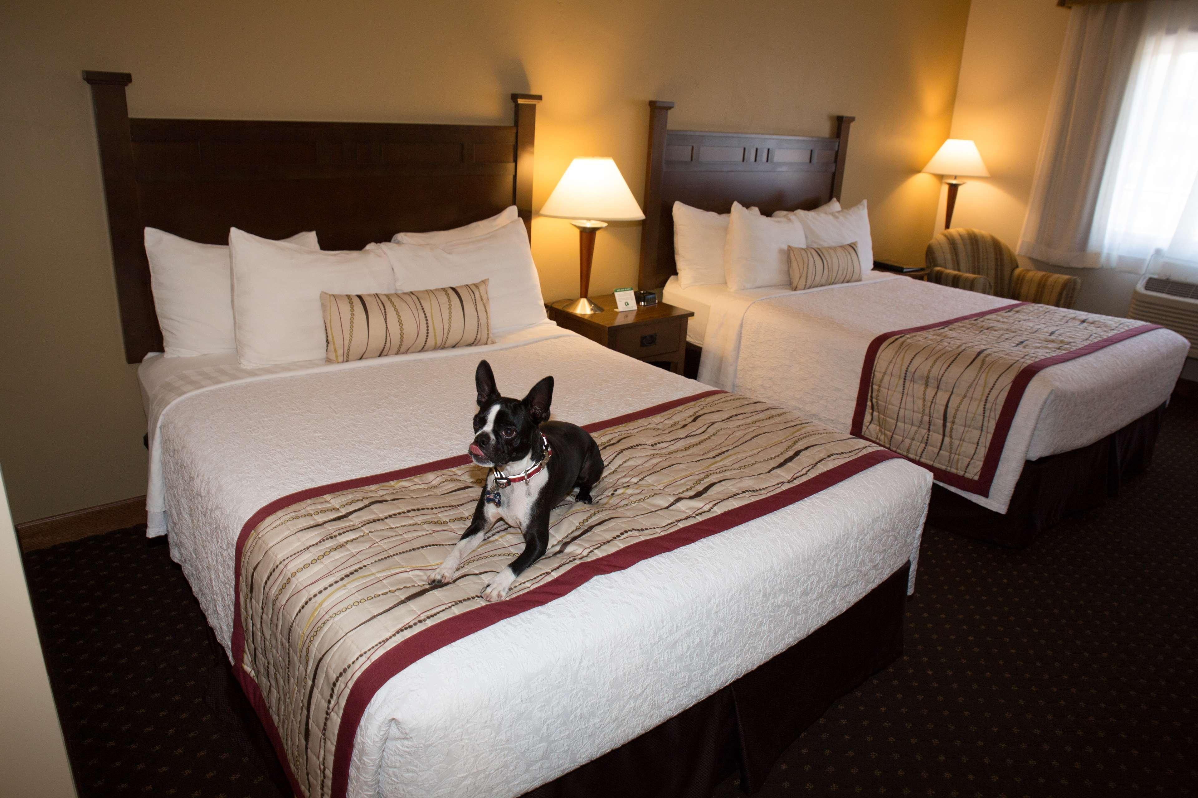 Best Western Desert Inn West Yellowstone Luaran gambar